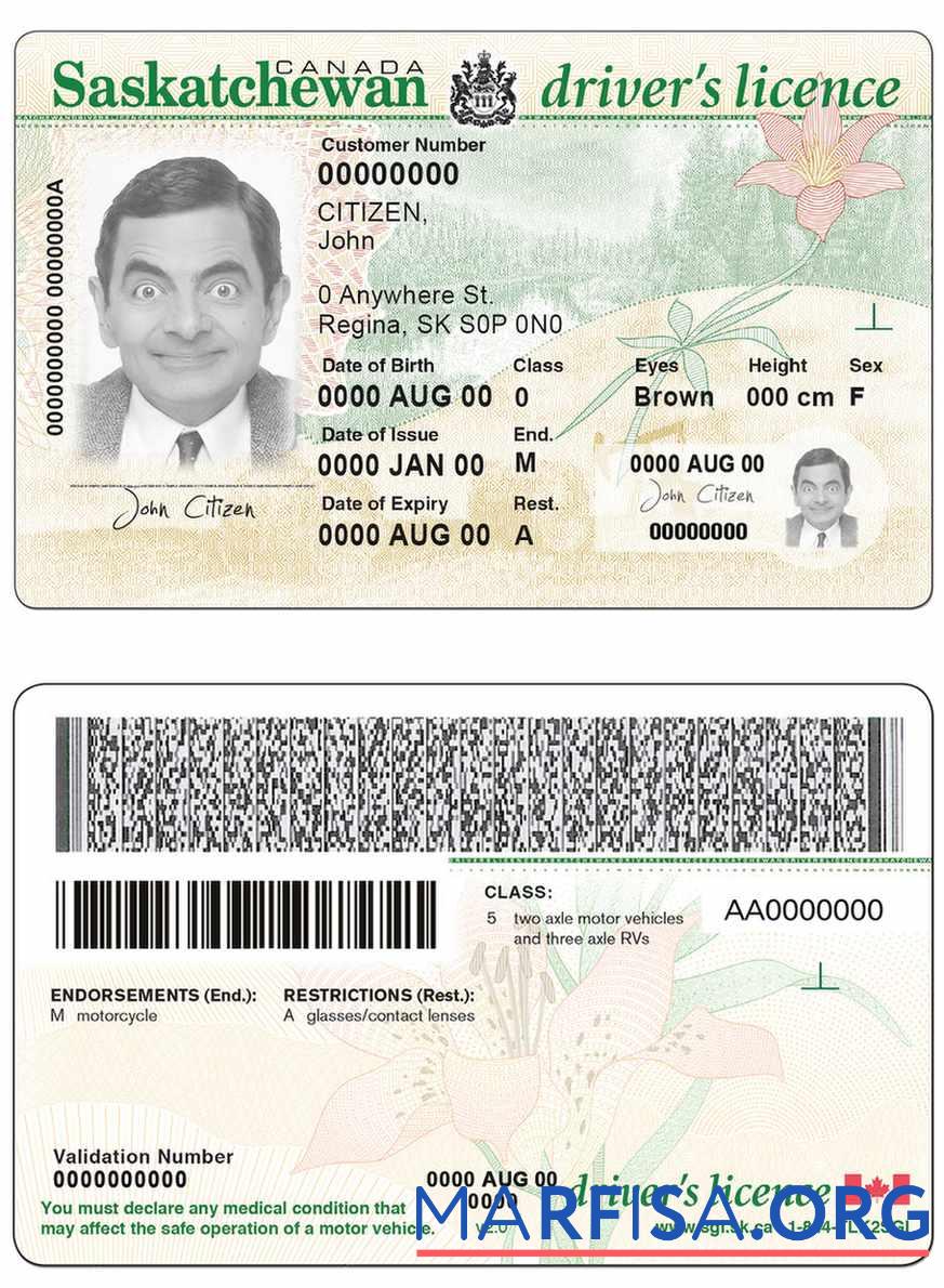 Realistic Canada province Saskatchewan driving license sample
